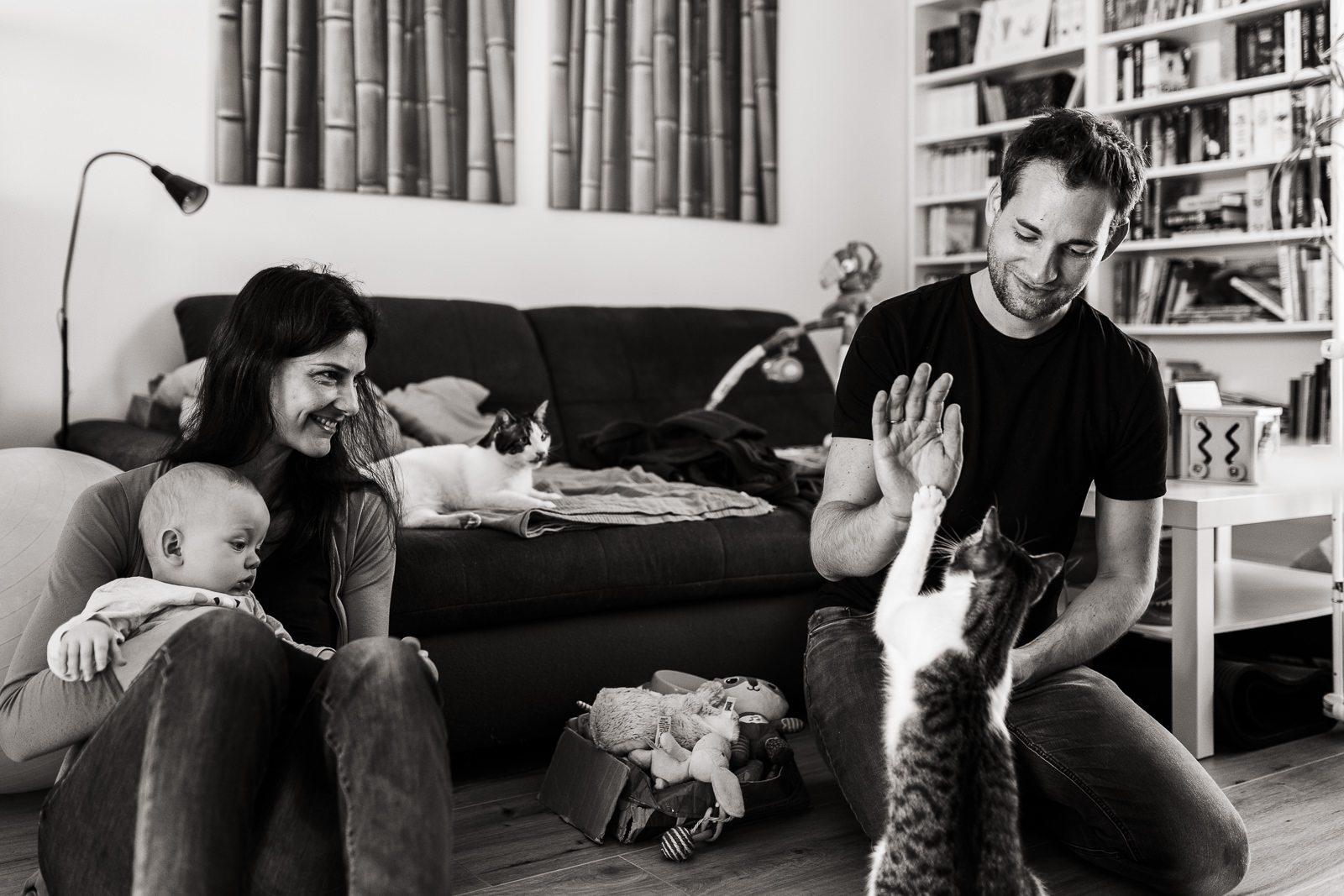 documentary home story baby cats family 19