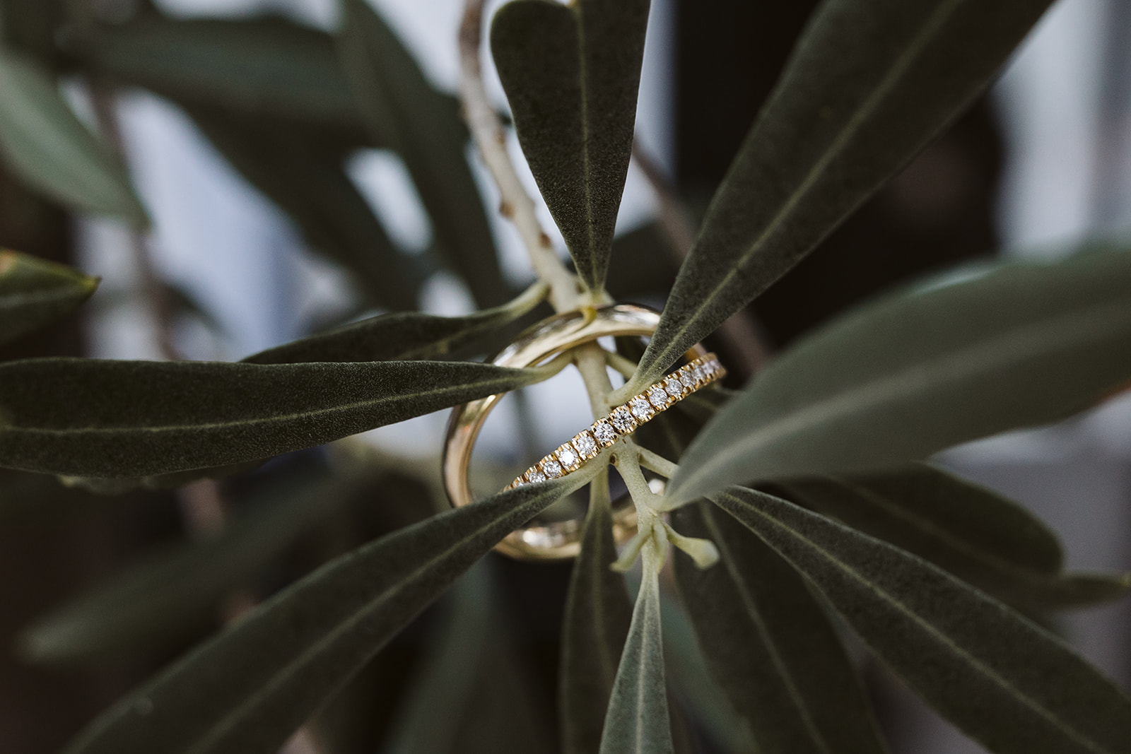 schloss gurhof antonia stefan christiane wolfram photography 211