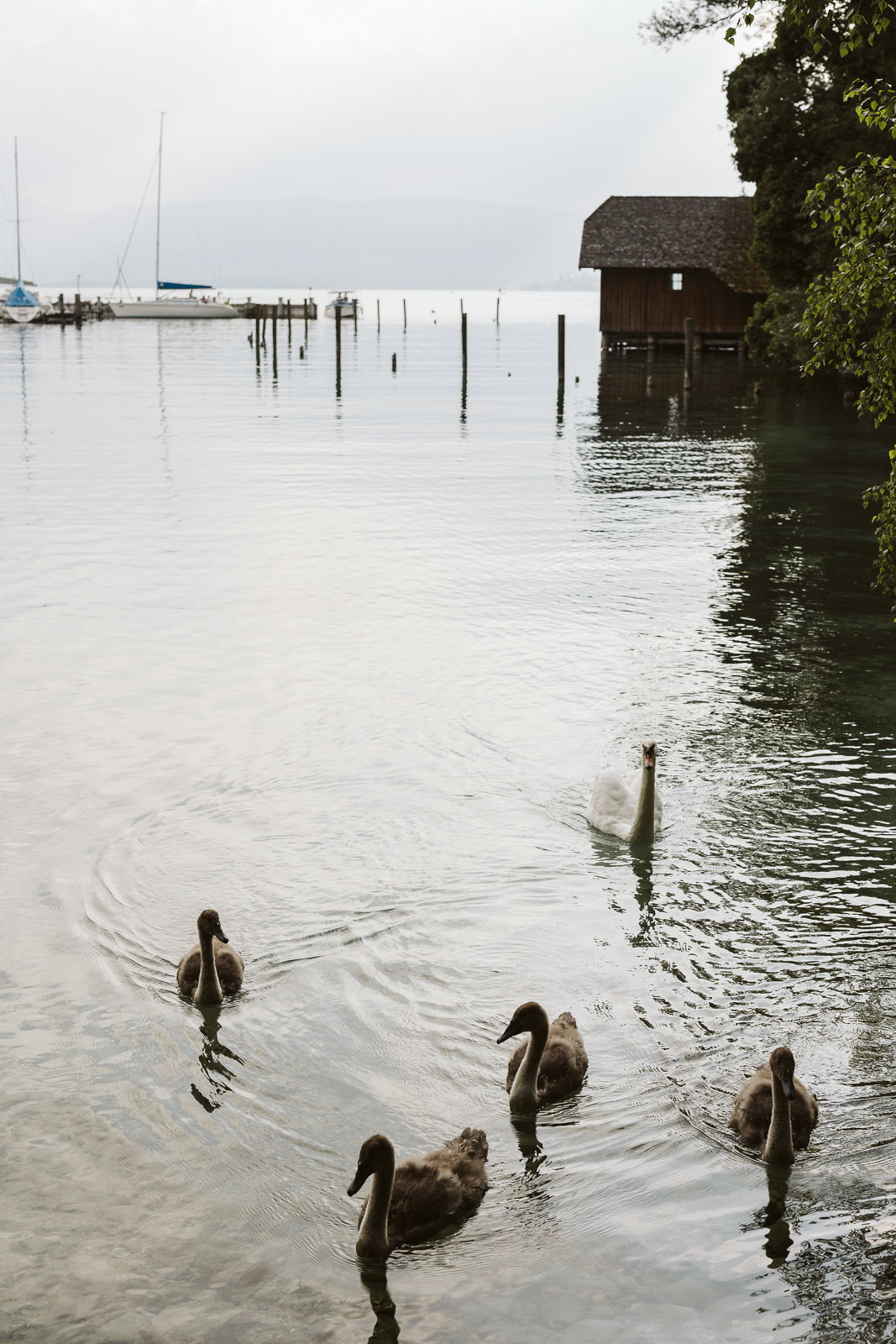 hochzeit attersee kirche schloss kammer christiane wolfram 083