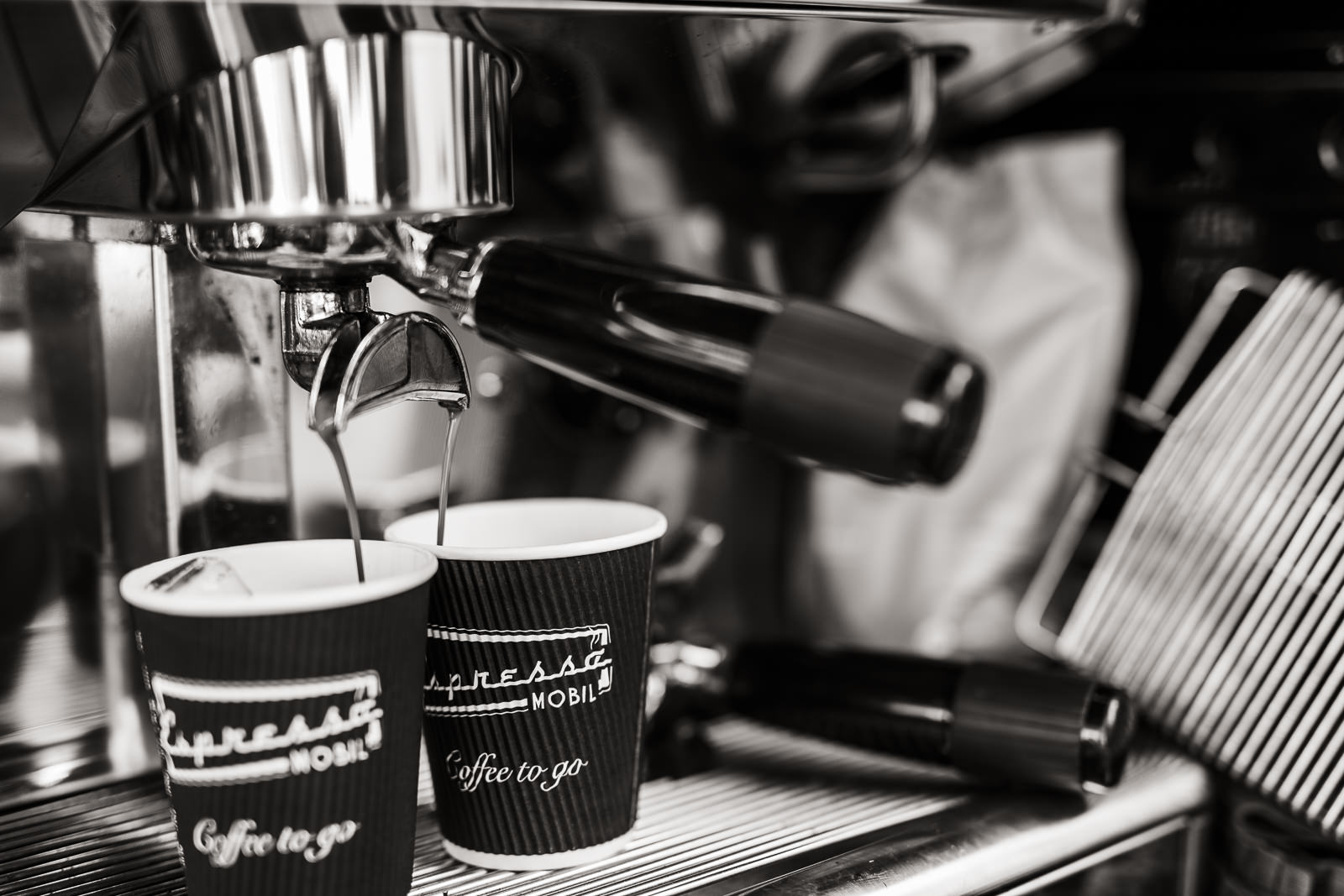 hochzeit schloss spitz an der donau wachau pfarrkirche weinberge hochzeitsfotos hochzeitsfotografin oberoesterreich niederoesterreich fotografin christiane wolfram 0097