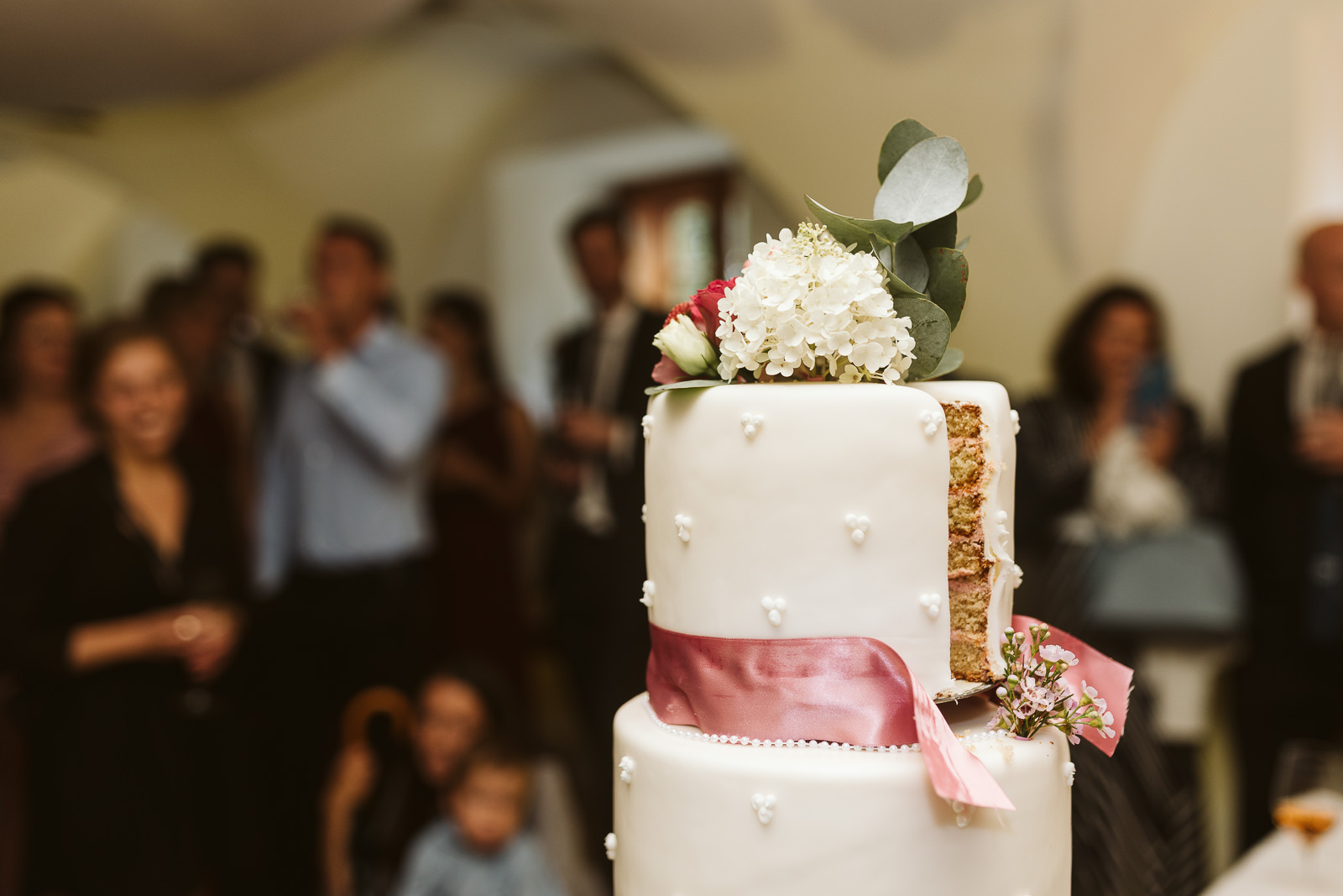 michlhof haizing laakirchen gmunden schloss ort hochzeit location fotograf christiane wolfram 302