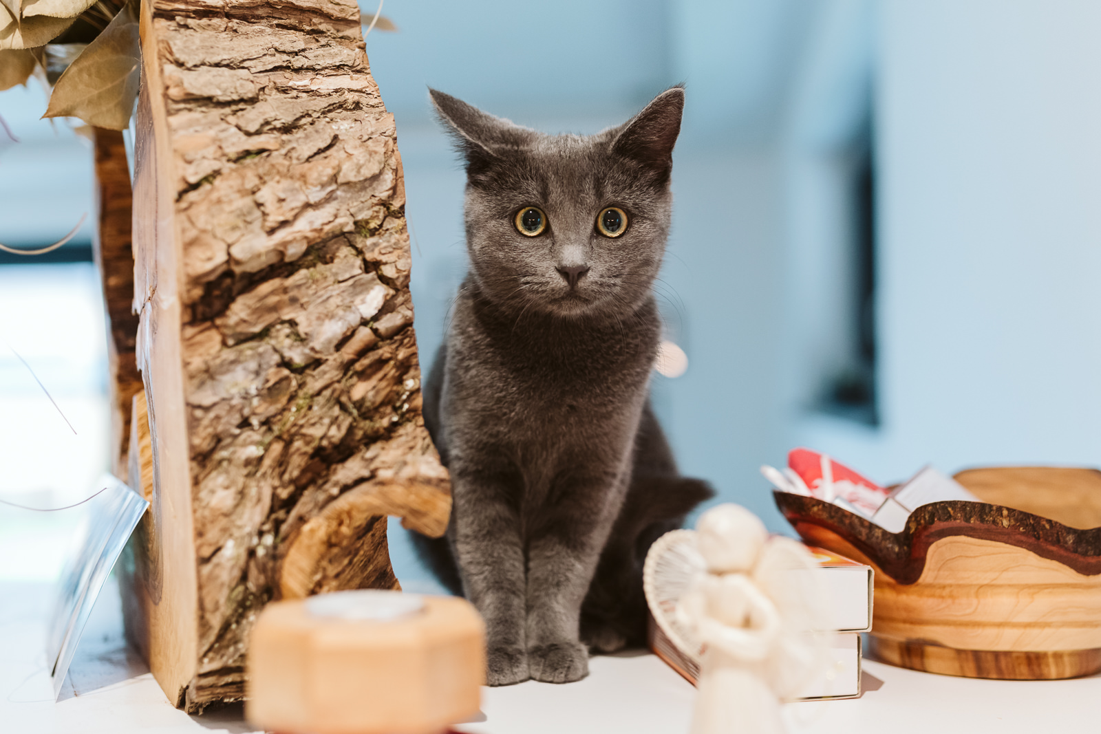 trachten hochzeit vöcklamarkt vöcklabruck hochzeitsfotograf christiane wolfram salzkammergut traunviertel stehrerhof fotografin christiane wolfram 0027