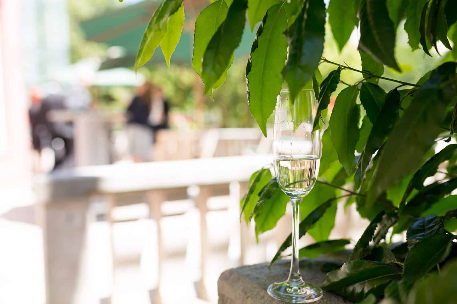 hochzeit villa muthesius wels hochzeitslocation traumlocation hochzeitsfotografin christiane eckl 0014