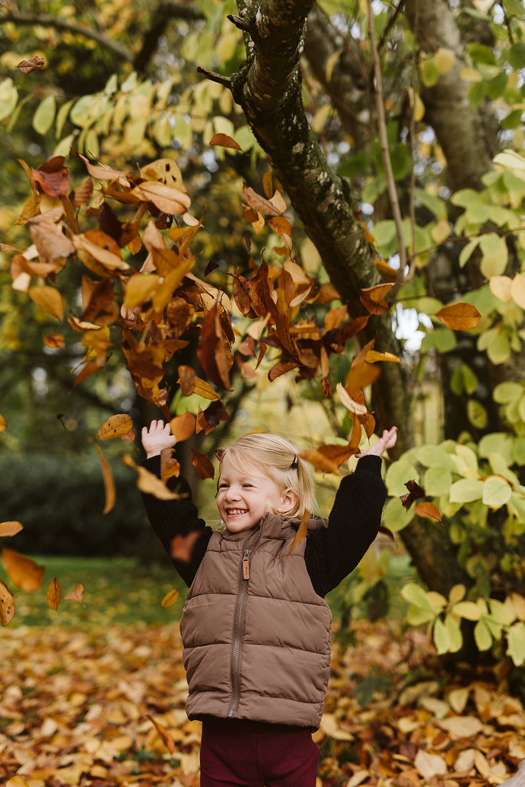 herbstminis familienfotos christiane wolfram 06